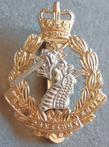BRITISH - Royal Army Dental Corps Q/C Anodised Hat Badge …