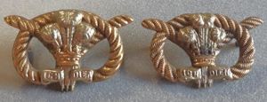 BRITISH North Staffordshire Regiment Pair Bi-Metal Collar Badges