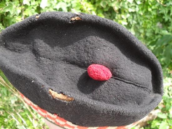 WW1 Glengarry **Restoration Project** — image 4