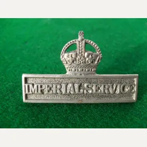 WW1 British Territorial Force Imperial Service Badge