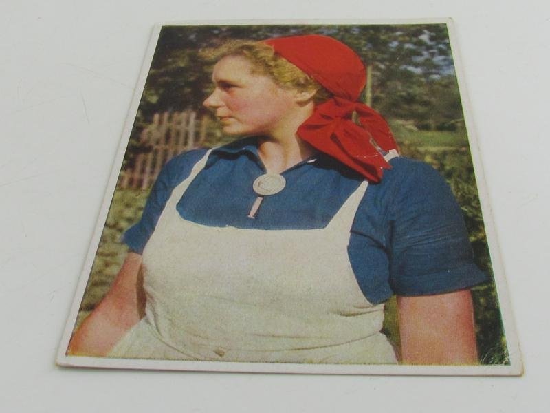 Postcard : Reichsarbeitsdienst (Reich Labour Service), Young Woman — image 2