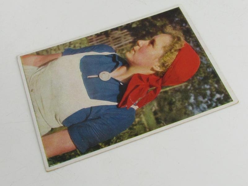 Postcard : Reichsarbeitsdienst (Reich Labour Service), Young Woman — image 5