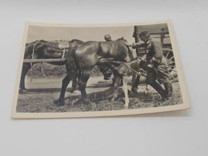 Postcard : Unsere Waffen-SS