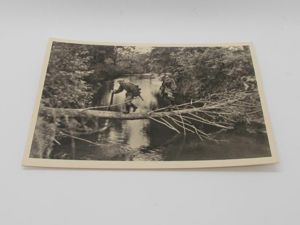 Postcard : Unsere Waffen-SS