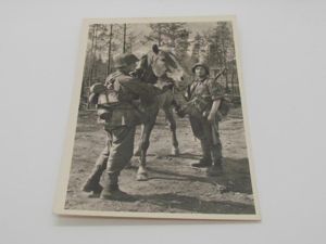 Postcard : Unsere Waffen-SS