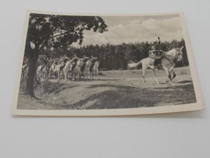 Postcard : Unsere Waffen-SS