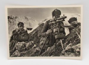 Postcard : Unsere Waffen-SS
