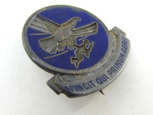 WWII USAAF 1st airborne troop carrier DI pin