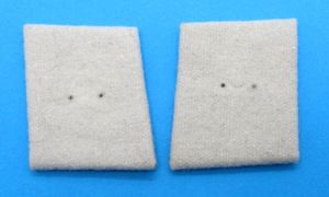 Hermann Göring division collar tabs