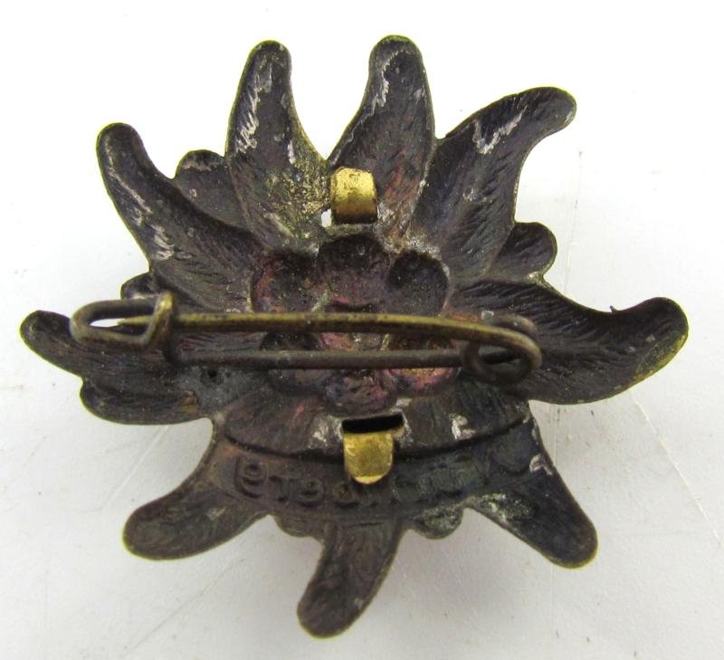 Wehrmacht Gebirgsjäger Nürnberg edelweiss Tinnie — image 3
