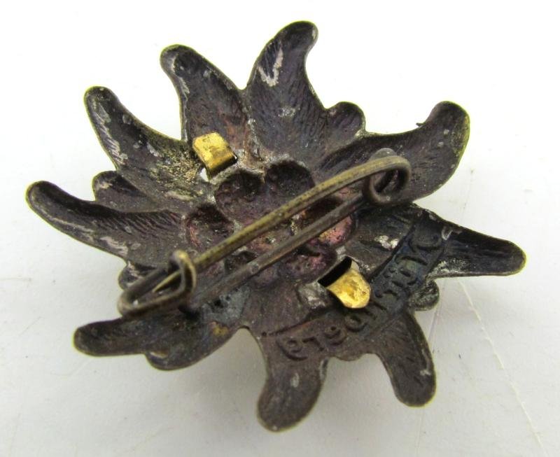 Wehrmacht Gebirgsjäger Nürnberg edelweiss Tinnie — image 5