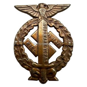 Original WWII German SA 'Nordmark Voran' Kiel 1935 pin