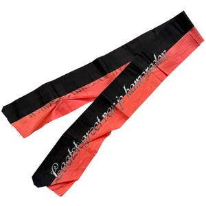 Original WWII Dutch NSB grave ribbon