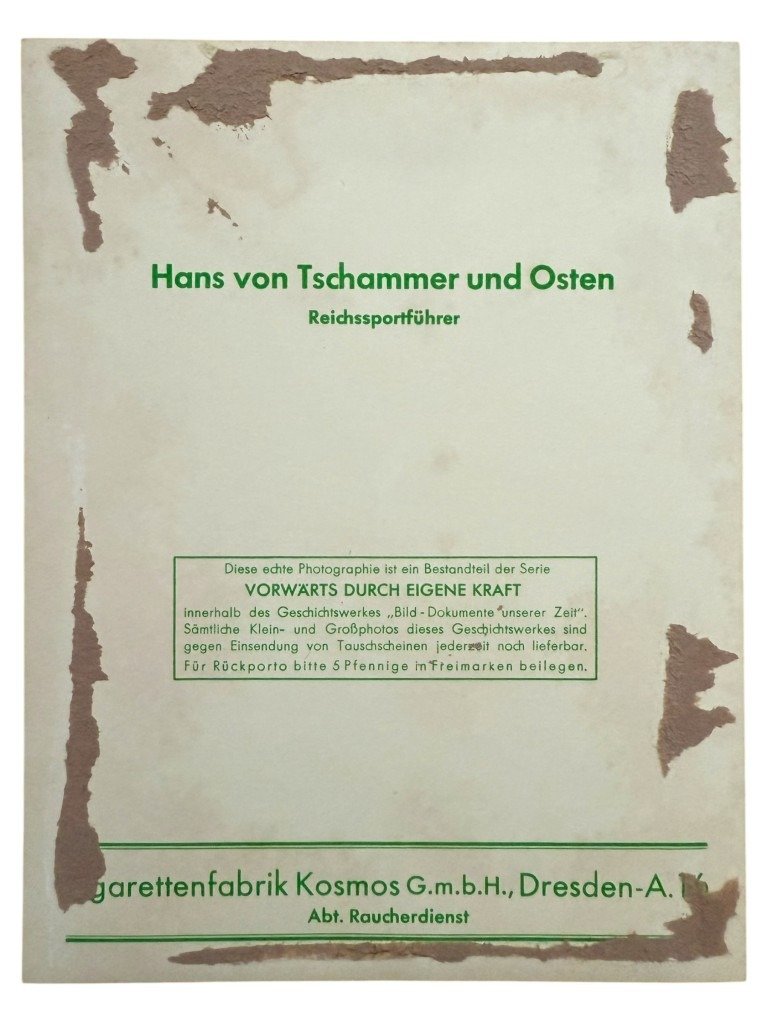 Original WWII German portrait photograph of Reichssportführer Hans von Tschammer und Osten — image 3