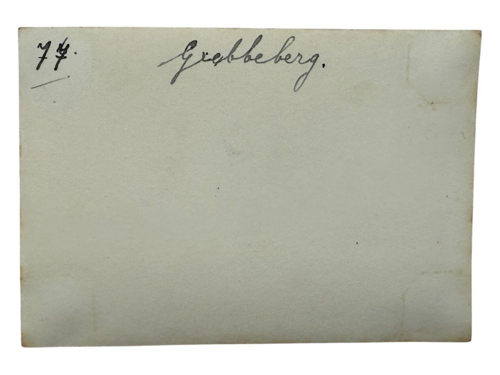 Original WWII Dutch photo cemetery Grebbeberg — image 4