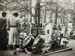 Original WWII Dutch photo cemetery Grebbeberg