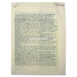 Original WWII German report of the execution of SS-Obergruppenführer Hanns …