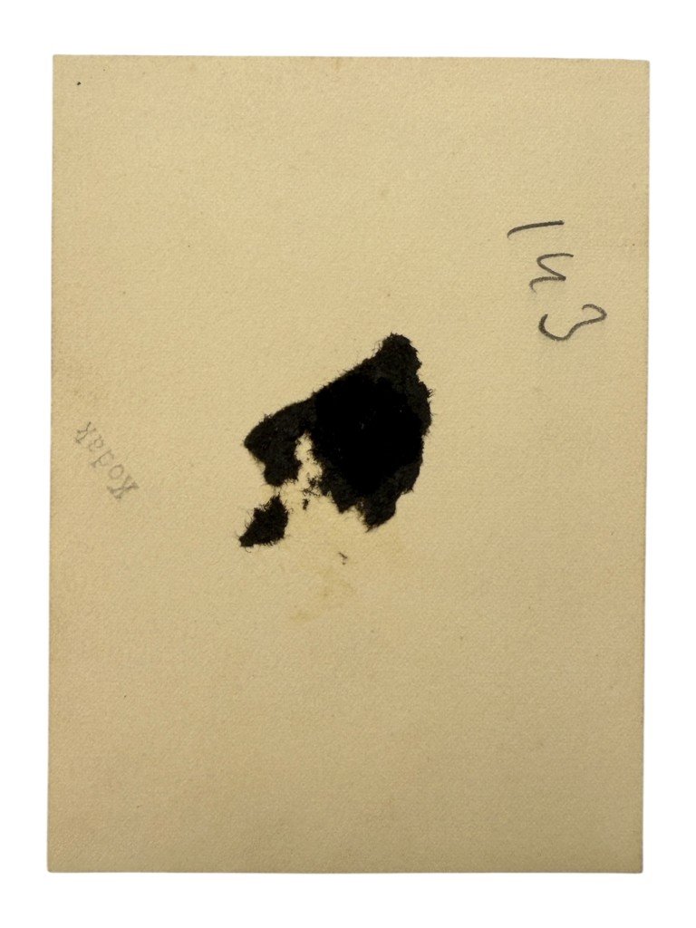 Original WWII German Waffen-SS 'SS Leibstandarte Adolf Hitler' photo — image 3