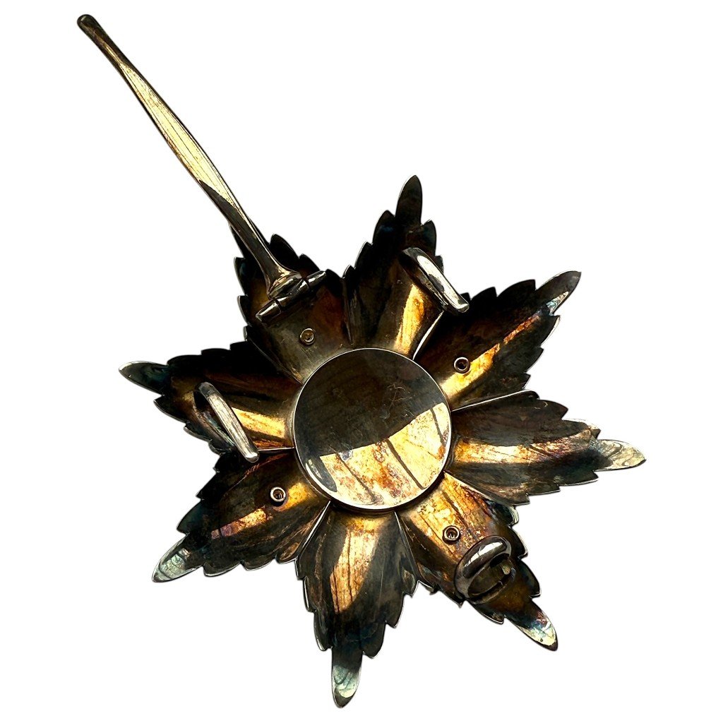 Original Luxembourg Grand Cross of the Order of the Oak Crown breast star — image 6