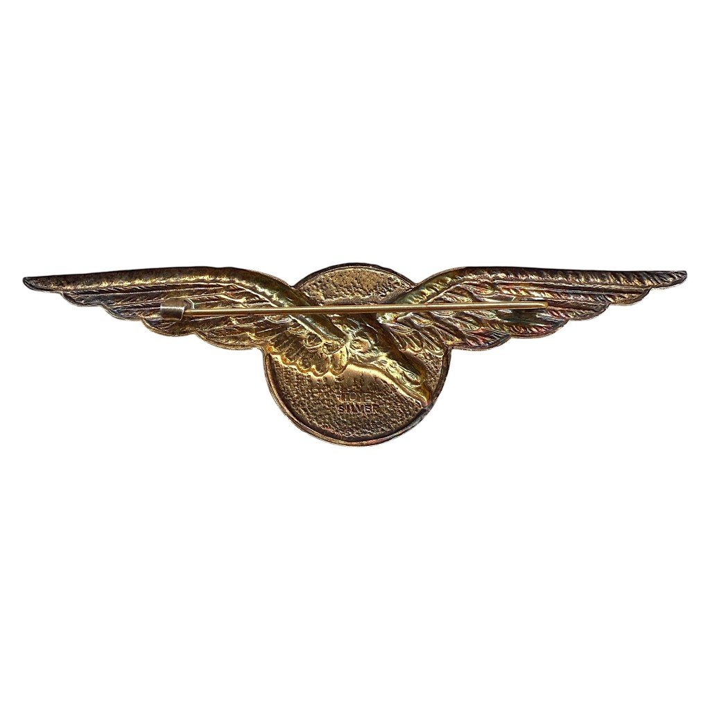 Original WWII Dutch Naval Aviation Service (MLD) flight wing — image 3