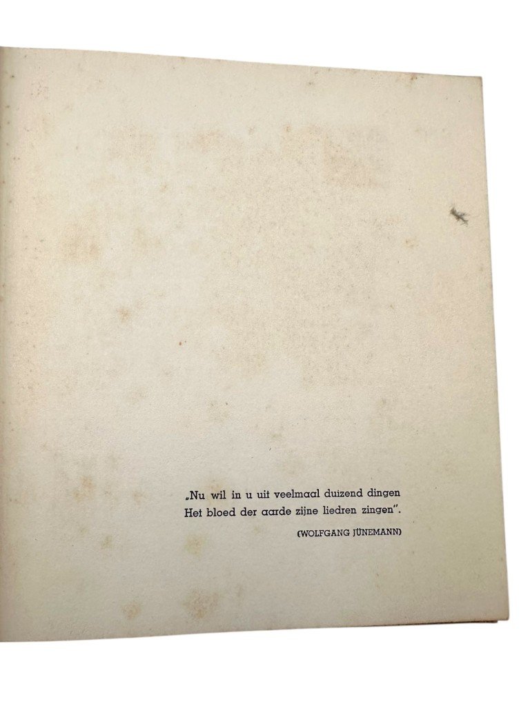 Original WWII Dutch book 'Het Bloed der Aarde zingt in Hitlerland – B.A. Schotel' — image 4