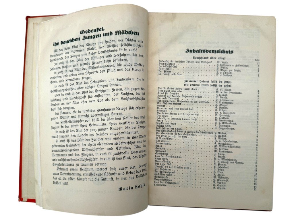 Original WWII German propaganda book 'Deutschland muß leben!' Hitlerjugend Bann 935 in Den Haag — image 5