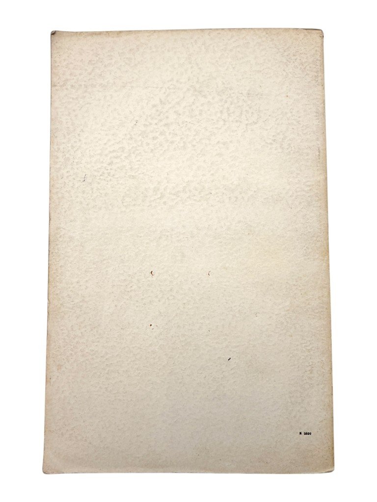 Original WWII Dutch NSB brochure 'Beginselen van Nationaal-Socialisme – dr. J.H. Carp' — image 9