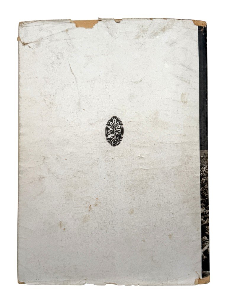 Original 1933 German book Kampf und Aufstieg des Nationalsozialismus zum Dritten Reich – Hansfritz Sohns — image 16