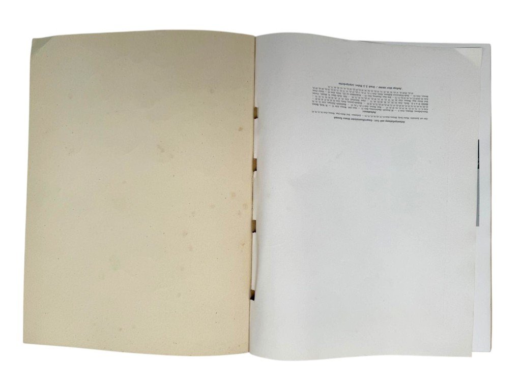 Original WWII German NSDAP book 'Der Führer in Weimar 1925–1938' — image 20