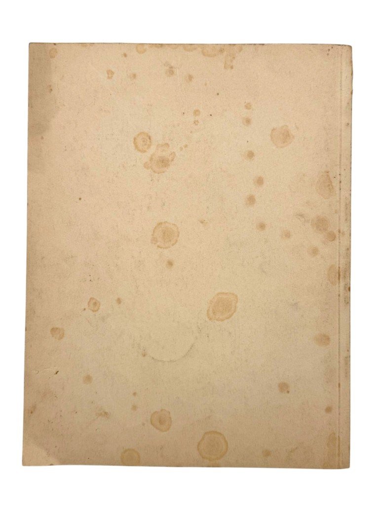 Original WWII German NSDAP book 'Der Führer in Weimar 1925–1938' — image 21