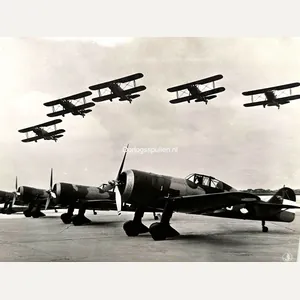 Original Pre 1940 Dutch Air Force photo Fokker D.XXI
