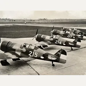 Original Pre 1940 Dutch Air Force photo Fokker D.XXI
