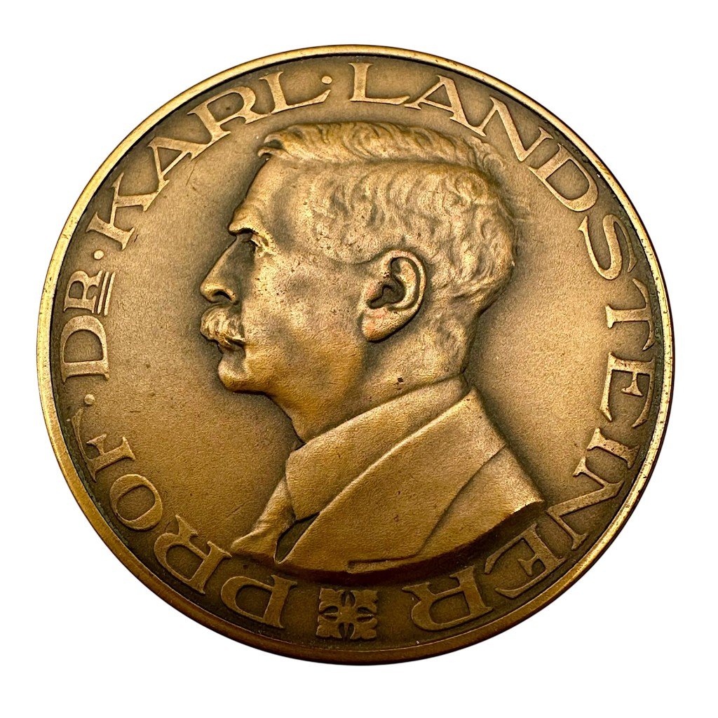 Original 1939 Dutch Red Cross medal blood transfusion — image 2