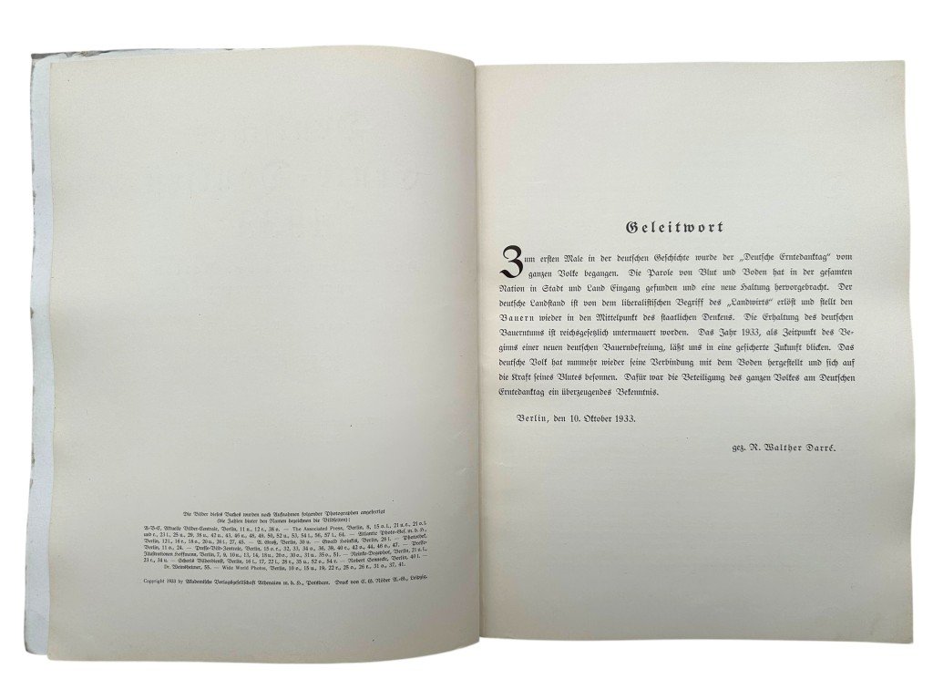 Original 1930s German NSDAP book 'Deutsches Ernte-Dankfest 1933' — image 4