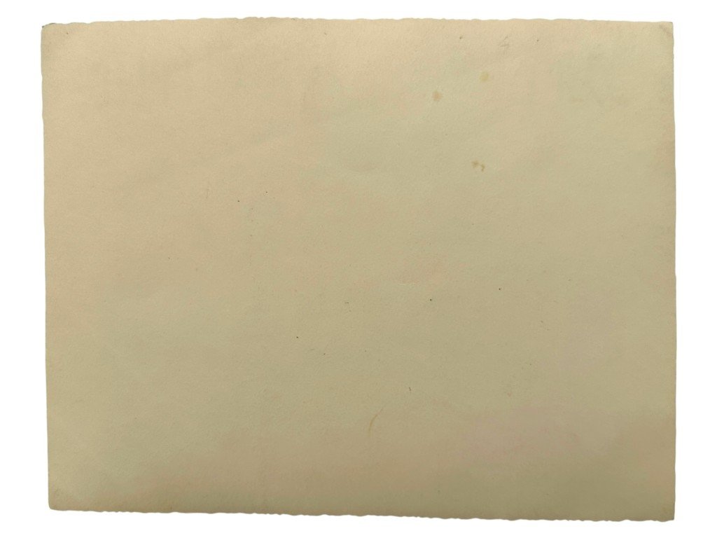 Original German 1940 Waffen-SS memorial photograph of the 9th SS Regiment 'Deutschland' with KIA SS members in Zeeland — image 6