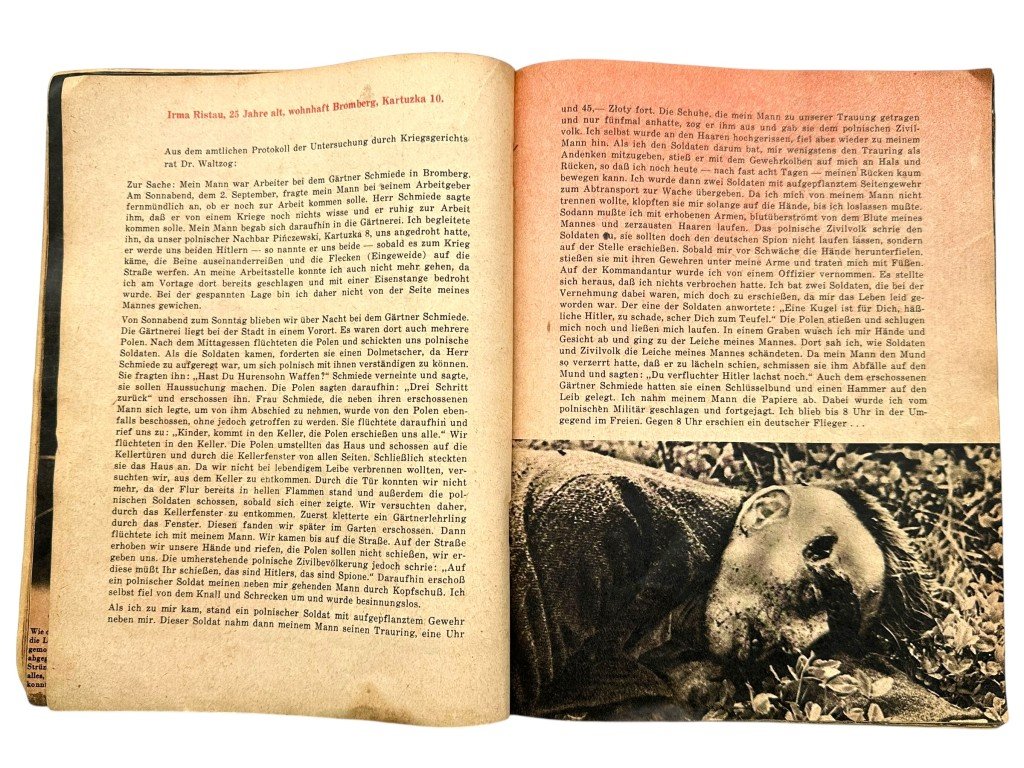 Original WWII German brochure 'Polnische Blutschuld' — image 8
