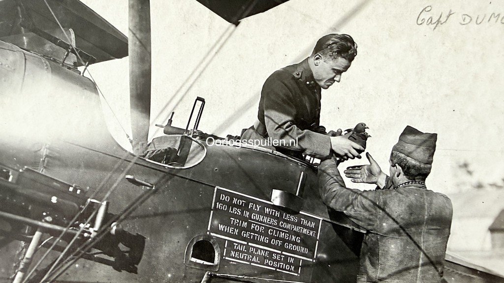 Original WW1 Belgian Air Force photograph collection — image 38