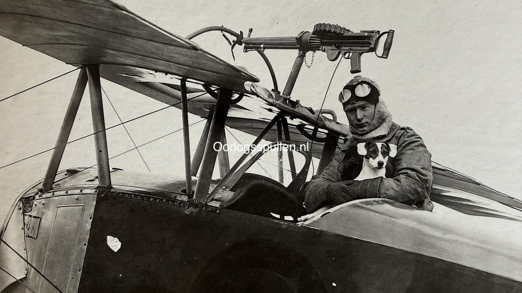Original WW1 Belgian Air Force photograph collection — image 44