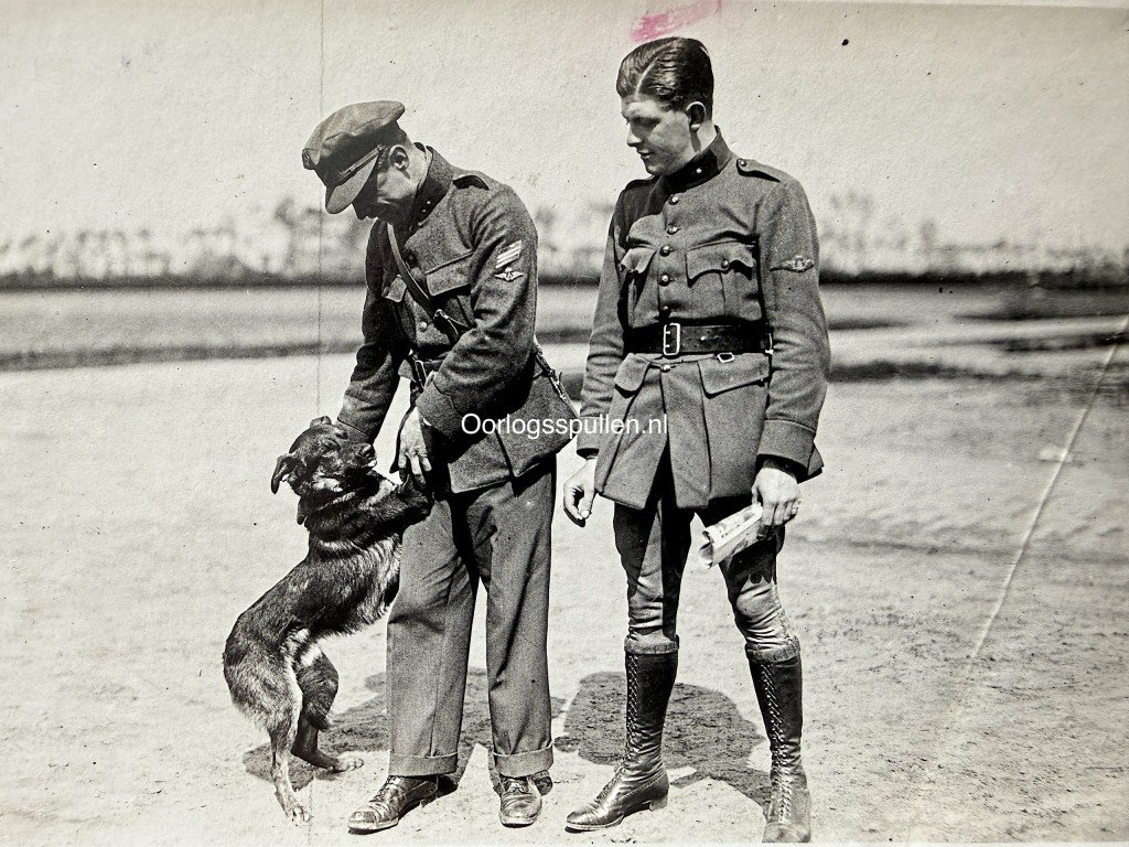 Original WW1 Belgian Air Force photograph collection — image 61