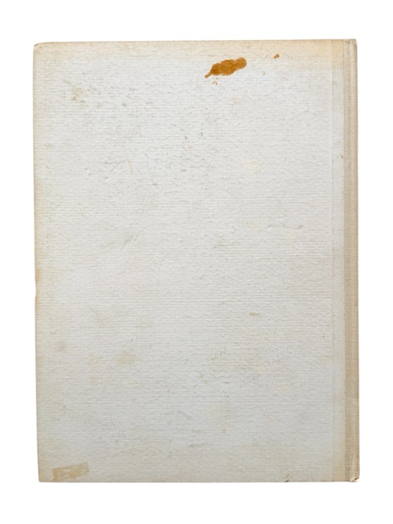 Original WWII German book 'So Siegte Großdeutschland – Martin Bockow' — image 12