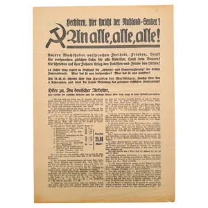 Original 1932 German NSDAP early elections flyer