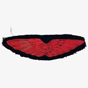 Original WWII Dutch NSB W.A. aviation department insignia