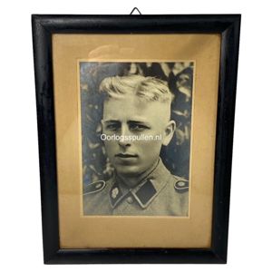 Original WWII Danish Waffen-SS volunteer portrait photo