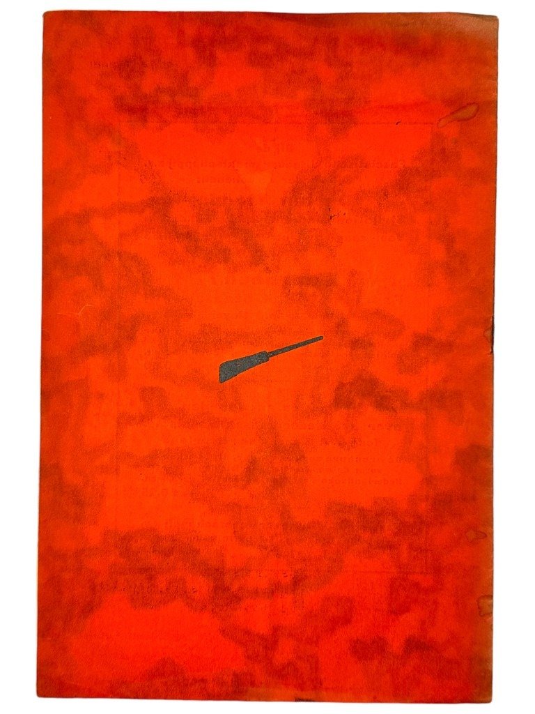 Original 1933 Dutch fascist youth union brochure 'De Jeugd voor Fascisme!' — image 10