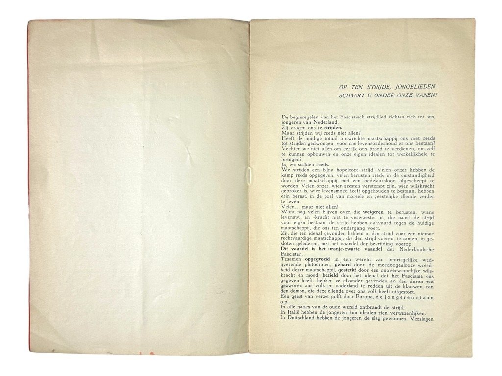 Original 1933 Dutch fascist youth union brochure 'De Jeugd voor Fascisme!' — image 5