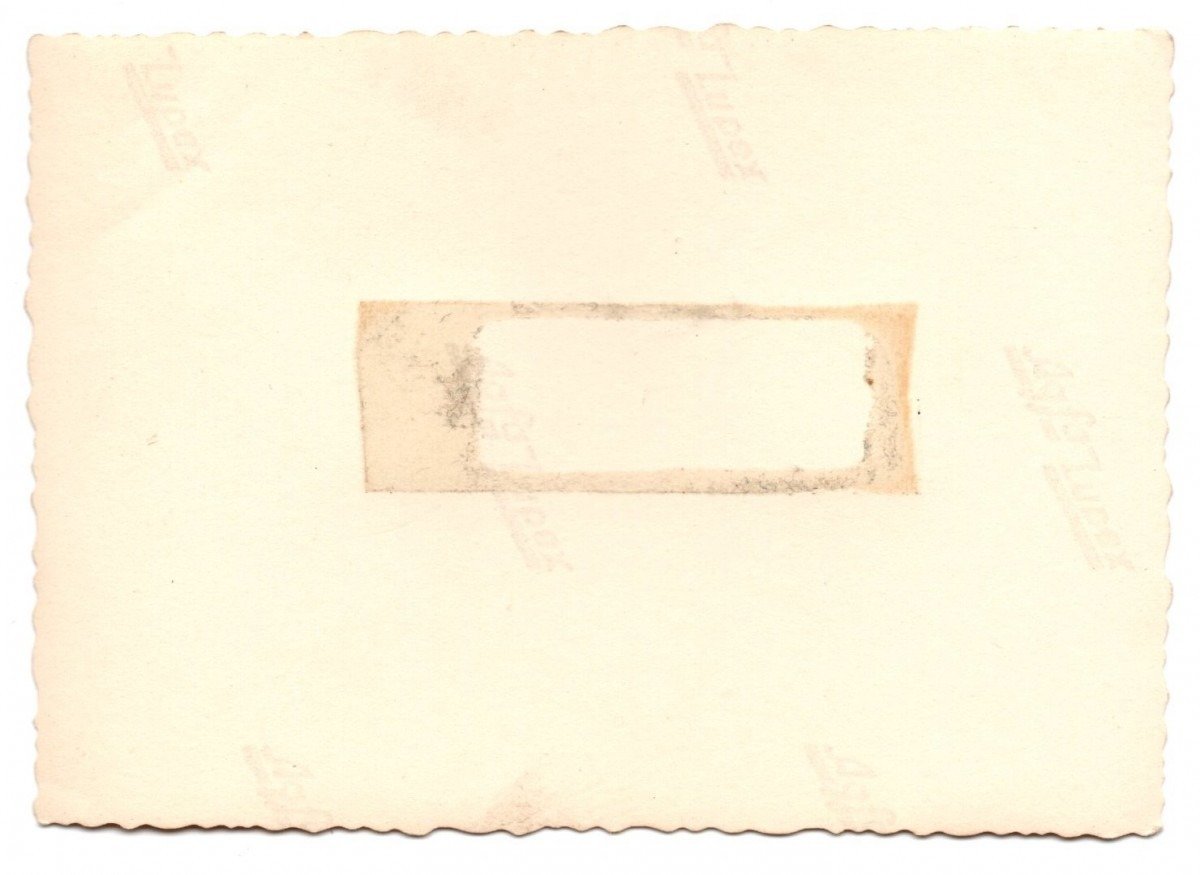 Original WWII Dutch collaboration poster photo — image 2