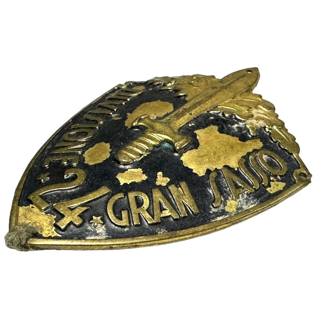 Original WWII Italian 24th Gran Sasso Division insignia — image 3
