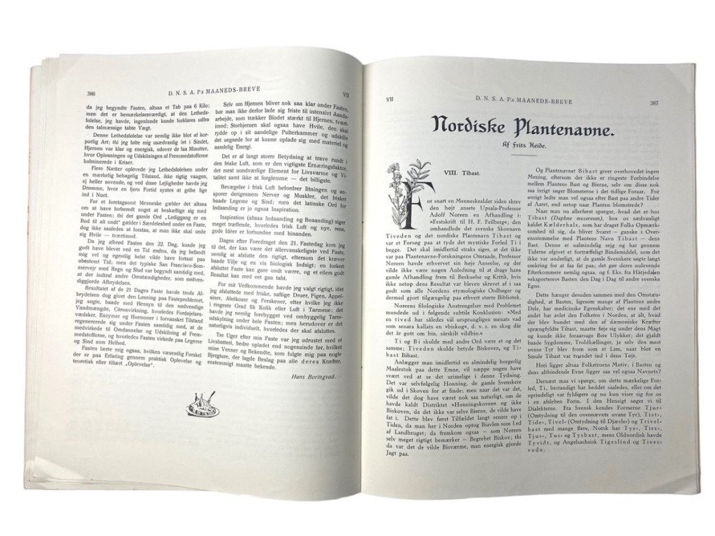 Original WWII Danish DNSAP Maaneds-Breve magazine – Nr. 12 – March 1943 — image 11