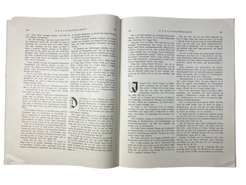 Original WWII Danish DNSAP Maaneds-Breve magazine – Nr. 12 – March 1943 — image 14