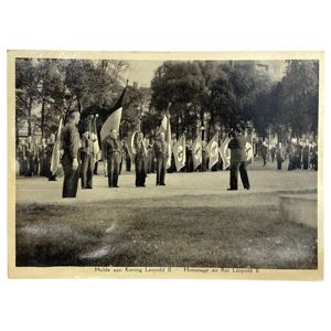 Original WWII Flemish 'Verdinaso' post card